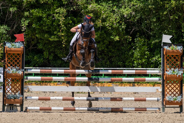 Show jumping competition on horseback. Horse Jumping, Equestrian Sports, Show Jumping themed photo.
