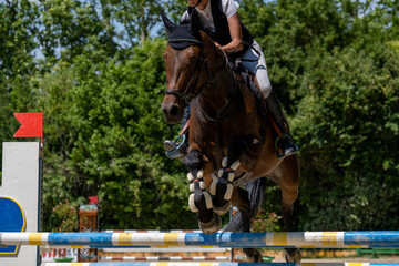 Show jumping competition on horseback. Horse Jumping, Equestrian Sports, Show Jumping themed photo.

