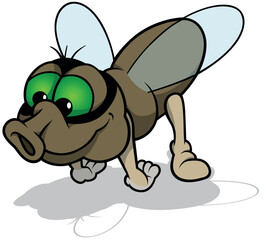 Funny Brown Housefly with Green Eyes Flying in the Air