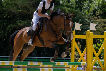 Show jumping competition on horseback. Horse Jumping, Equestrian Sports, Show Jumping themed photo.
