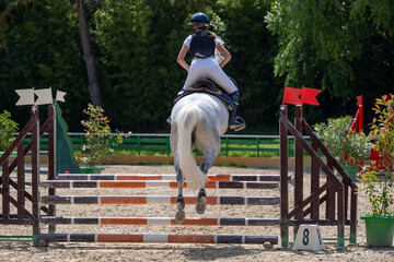Show jumping competition on horseback. Horse Jumping, Equestrian Sports, Show Jumping themed photo.
