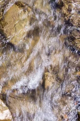 Fototapeten Wald Fluss water in the stream  © Alla