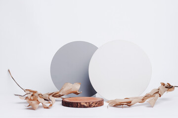 Round wooden saw cut cylinder shape for product presentation with blank round geometric shapes and dry leafs brown on white background