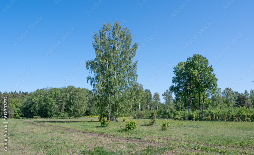 Poster summer landscape