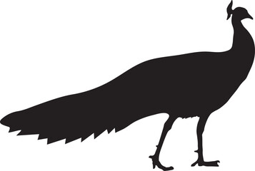Peacock silhouettes isolated. Vector illustration hand drawn.  Fantasy birds 