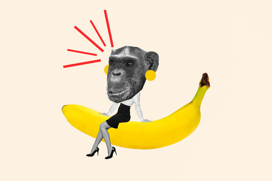 Collage minimal picture of funky funny monkey head lady worker sitting big banana isolated beige color background