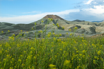 Fototapeta premium Trekking on Nallıhan Kız Tepesi. Ankara Nallihan Bird Sanctuary. Nallıhan Mountains are like Mars. Volcanic mountains in Turkey. Volcanic rocks and clouds in the sky. Endemic plant species in Nallıha