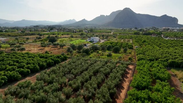 Mountains with cultivated vineyards farmland in Spain