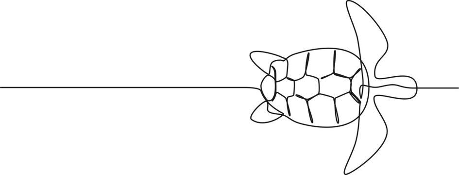 continuous single line drawing of sea turtle, line art vector illustration