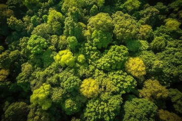 Naklejka premium Aerial view of green forest in the rainforest. Nature background. generative AI