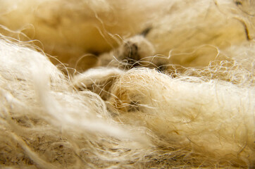 Close-up of raw sheep's wool. Washed but not carded or spun. Focus in centre. Short depth of field....