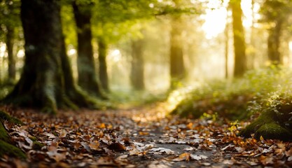 Obraz premium autumn forest in the morning ai generated