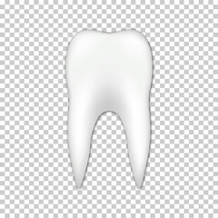 Vector realistic tooth icon illustration