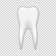 Vector realistic tooth icon illustration