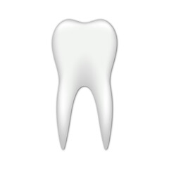 Vector realistic tooth icon illustration