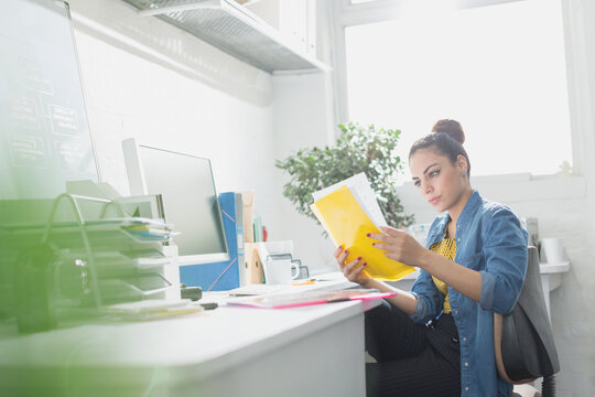 Creative Young Businesswoman Reading Paperwork At Desk In Sunny Office