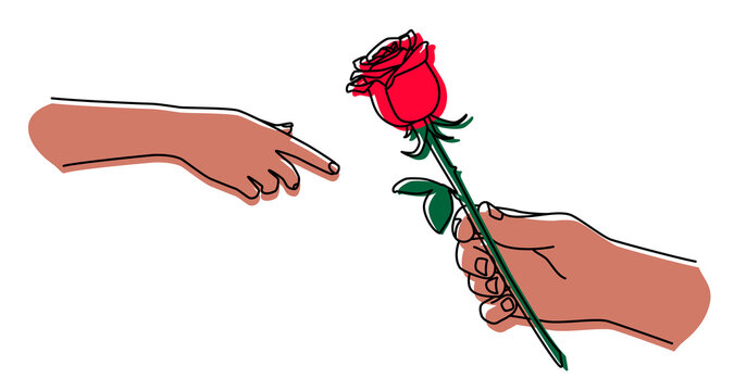 Hand holding a rose and giving it. Man gives a flower. Hand drawn with thin line. Png clipart isolated on transparent background