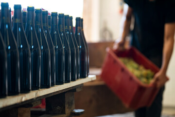 Full bottles of unlabeled red wine inside a wine cellar