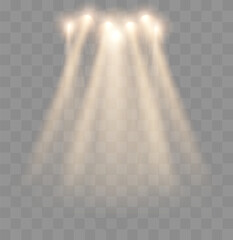 Spotlights isolated. Gold Light beams and rays. Transparent vector light effect