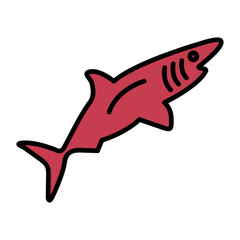 Shark Line Color Icon