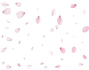 Flying Spring Cherry.