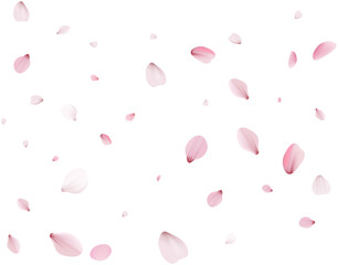 Flying Spring Cherry.