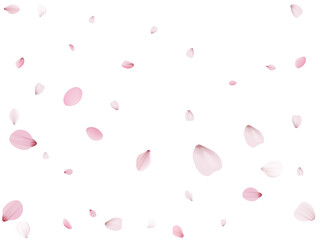 Flying Spring Cherry.