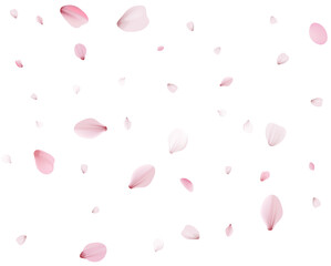 Flying Spring Cherry.