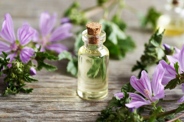 A bottle of common mallow essential oil with blooming mallow plant