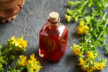 A glass bottle of St. John's wort oil with fresh flowers on dark background