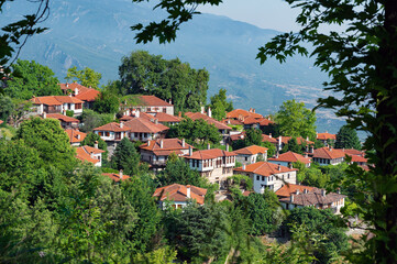 Springtime landscape showing the stone houses of traditional architecture in the village of Palaios Panteleiomonas in northern Greece