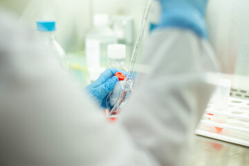 cell culture at the laboratory