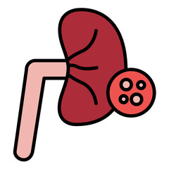 Kidney Checkup Line Color Icon