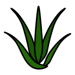 Aloevera Line Color Icon