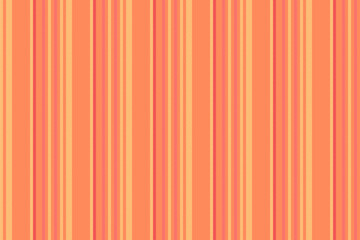 Obraz premium Seamless lines vertical of textile pattern texture with a fabric vector background stripe.