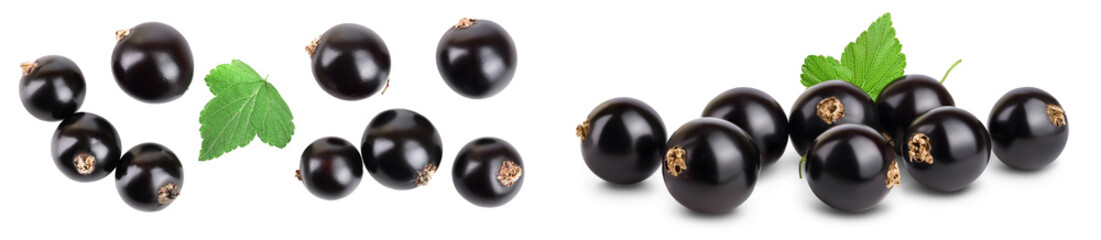 black currant with leaf isolated on white background. Top view. Flat lay pattern. With space for your text