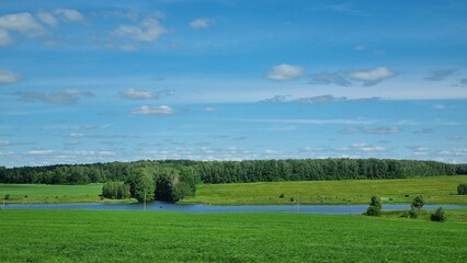 landscape with trees and blue sky