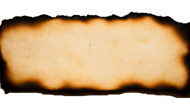 burnt paper background