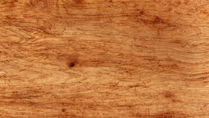 Maple Tree Wood Texture Background