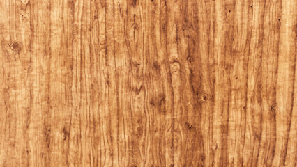 Oak Tree Wood Texture Background