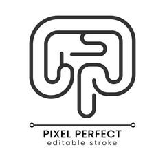 Human bowel pixel perfect linear icon. Gastrointestinal tract. Digestive system. Inner organ. Thin line illustration. Contour symbol. Vector outline drawing. Editable stroke. Poppins font used