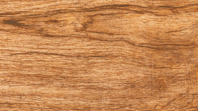 Walnut Tree Wood Texture Background