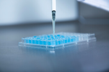 Cell culture experiments 