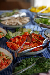 Soft Selective focus of salad, farm organic vegetables on a cooking board. Vegetarian healthy food. Nutritionology. Peppers with tomatoes and onions close up on a plate. Roasted red pepper salad.