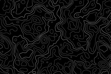 Topographic Map Vector Patterns. Topographic Maps can be used as backgrounds for brand projects, fabrics, packaging, fashion apparel, posters, wrapping paper and printouts.