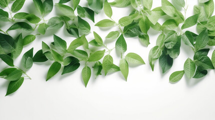 Obraz premium Top view of beautiful green leaves pattern isolated on white, wedding invitation floral concept