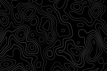 Topographic Map Vector Patterns. Topographic Maps can be used as backgrounds for brand projects, fabrics, packaging, fashion apparel, posters, wrapping paper and printouts.
