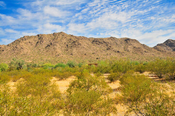 Fototapeta na wymiar Sonora Desert Arizona Windmill