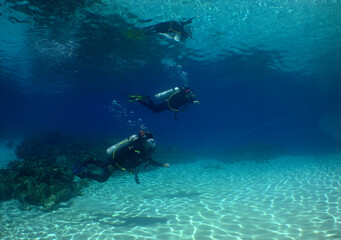 some divers exploring a coral reef in the crystal clear waters of the caribbean sea