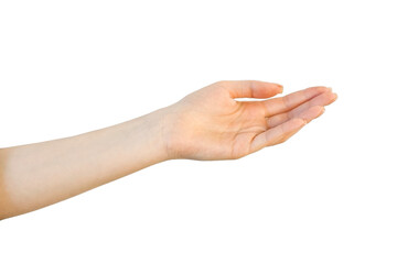 A woman's hand is outstretched palm up, isolated on a white background. A fair-skinned woman's hand with copy space for advertising and collages